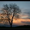 20050430_005